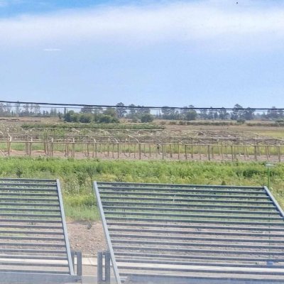 La importancia de las tierras del INTA San Juan
