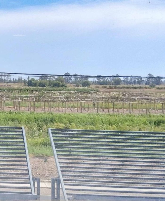 La importancia de las tierras del INTA San Juan