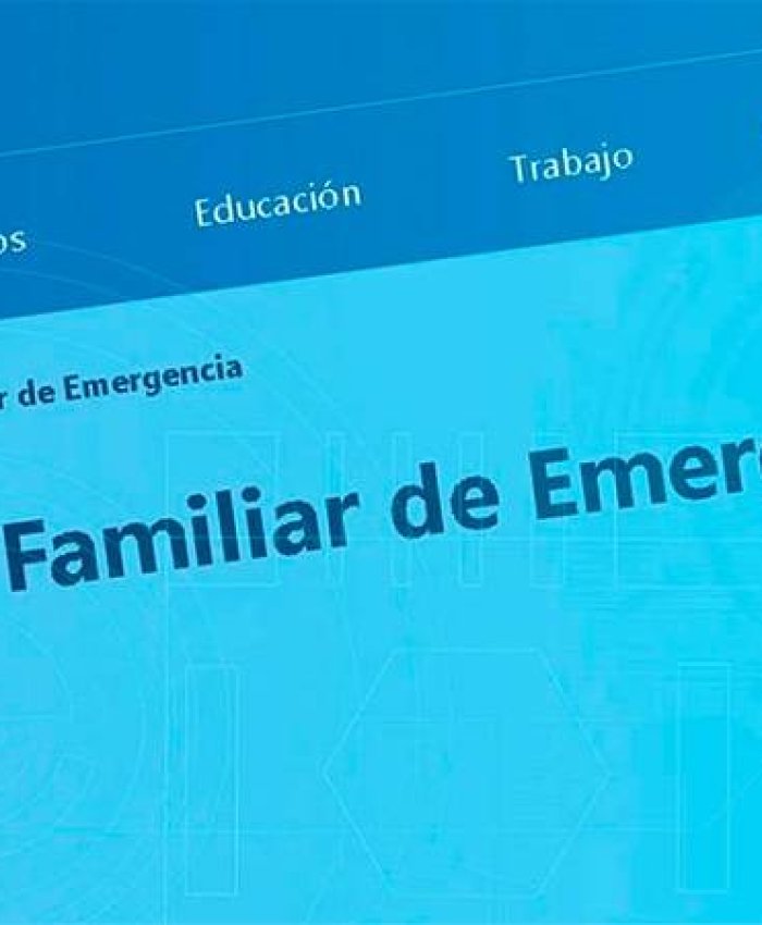 IFE: el tercer pago será en agosto