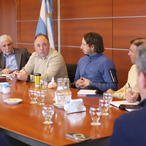 El sector vitivinícola pide controles estrictos para garantizar uva libre de lobesia botrana en San Juan