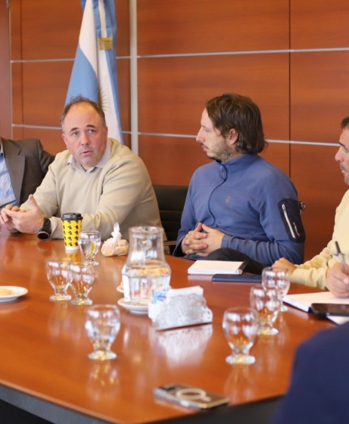 El sector vitivinícola pide controles estrictos para garantizar uva libre de lobesia botrana en San Juan