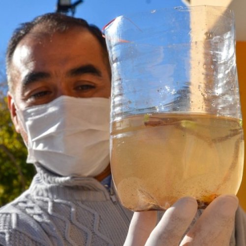  ¿Cómo se relaciona la salud con la pobreza?