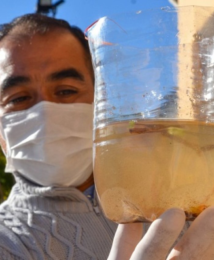  ¿Cómo se relaciona la salud con la pobreza?