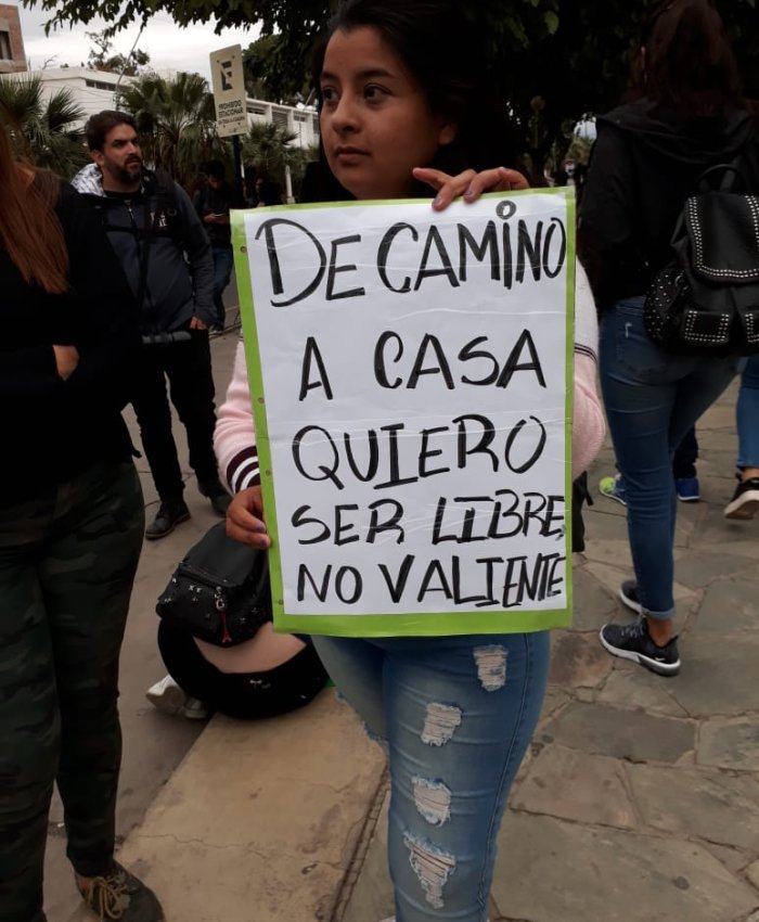 El acoso callejero es considerado violencia de Género por el Senado