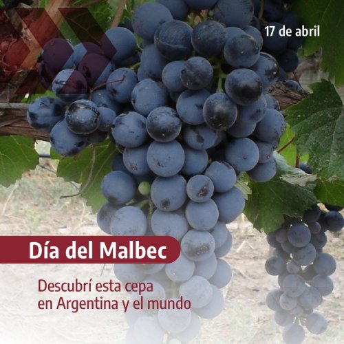 Hugo Carmona: «No hay vinos mejores ni peores, sino vinos distintos y que se adaptan mejor al bolsillo de cada uno»