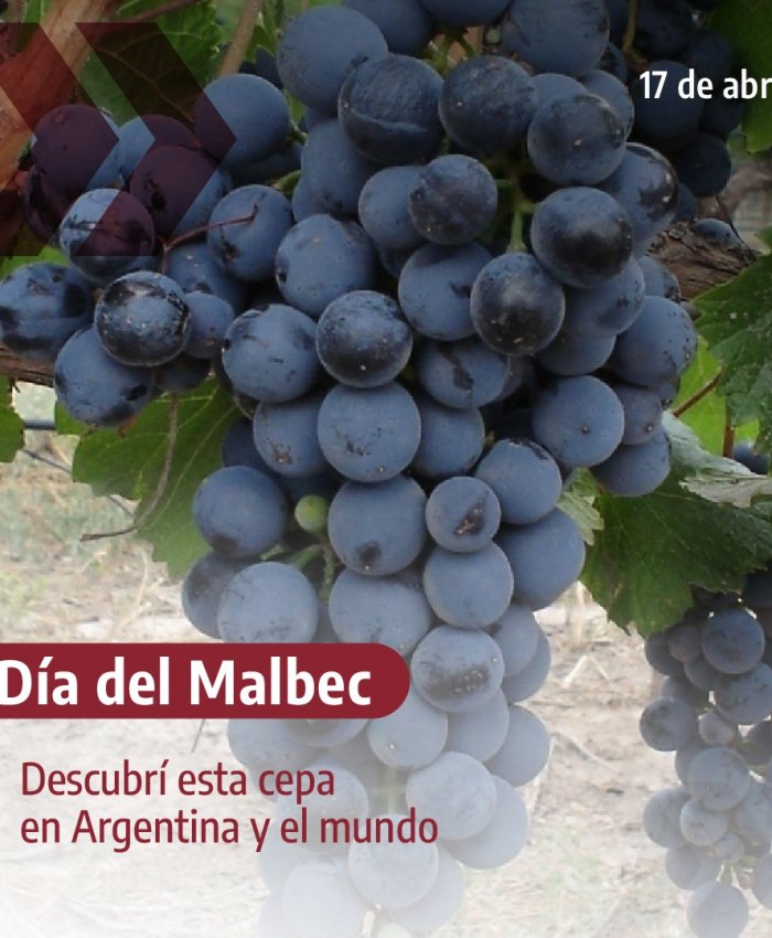 Hugo Carmona: «No hay vinos mejores ni peores, sino vinos distintos y que se adaptan mejor al bolsillo de cada uno»