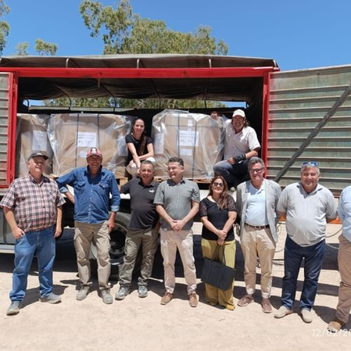 Jáchal logró la primera exportación de semillas de cebolla a Holanda