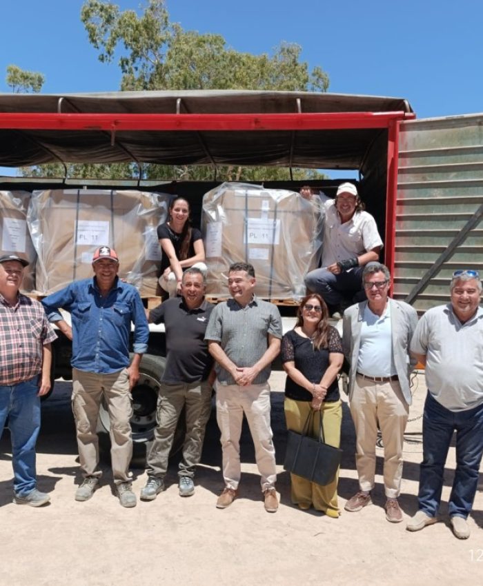 Jáchal logró la primera exportación de semillas de cebolla a Holanda