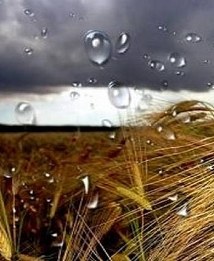 Llueve veneno: detectan agrotóxicos en precipitaciones de ciudades de Entre Ríos