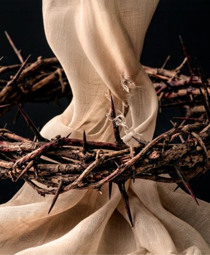 Una experiencia artística diferente en el Teatro del Bicentenario