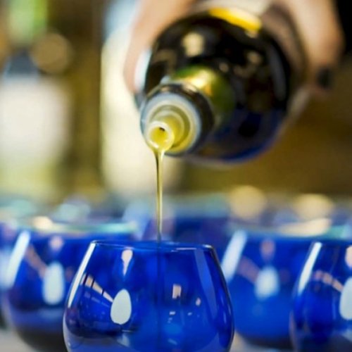 Llegaron 73 muestras de distintas partes del mundo para participar de ArgOliva 2024