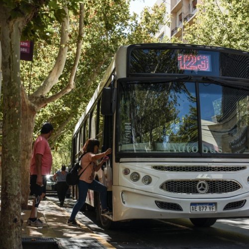 RedTulum informó que se extiende el plazo de validez de los pases de discapacidad