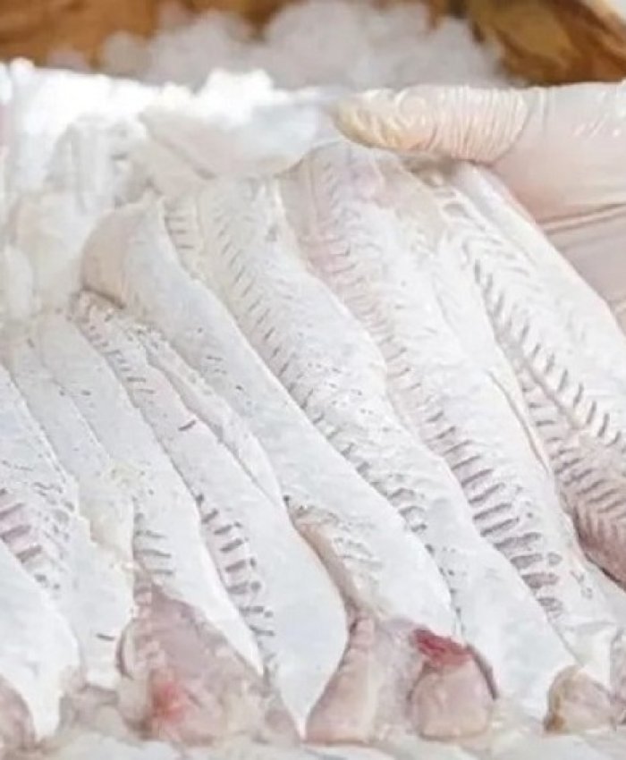 Refuerzan el control en la venta de pescado para semana santa