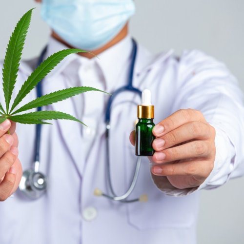 El gobierno extendió la validez del REPROCANN