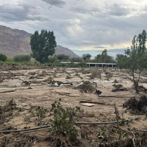 Relevan daños climáticos en uva, olivo y frutales en Zonda