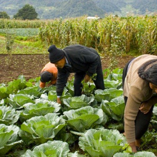 Crecen las críticas al gobierno por las reformas en el programa de Cambio Rural