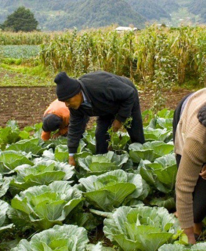 Crecen las críticas al gobierno por las reformas en el programa de Cambio Rural