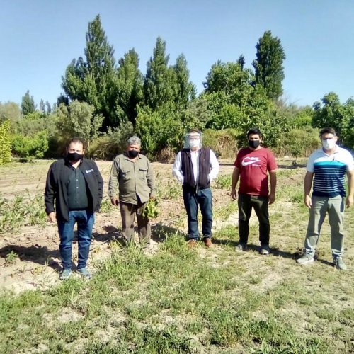 Desarrollo Humano visitó la comunidad Huarpe del departamento de Sarmiento.