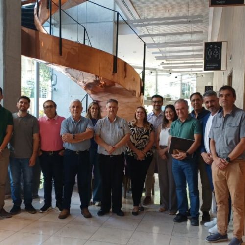 Conforman un nuevo grupo exportador asociado al mosto de uva