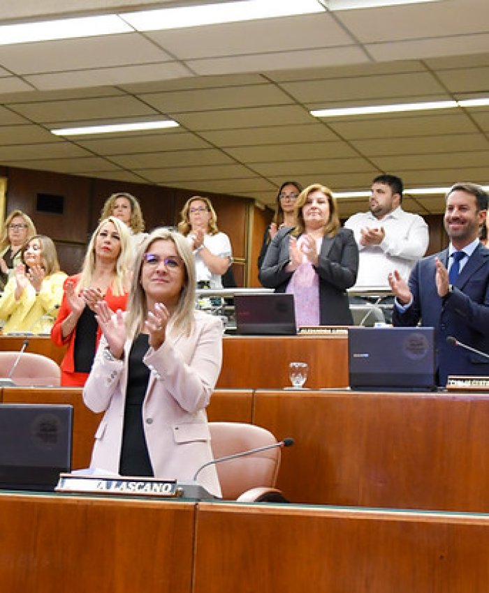 San Juan ya tiene ley para regular los juegos en línea