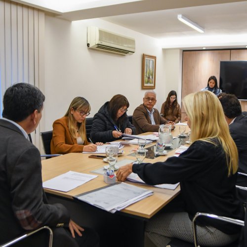 LEGISLATURA SAN JUAN: analizaron diversos proyectos en comisiones