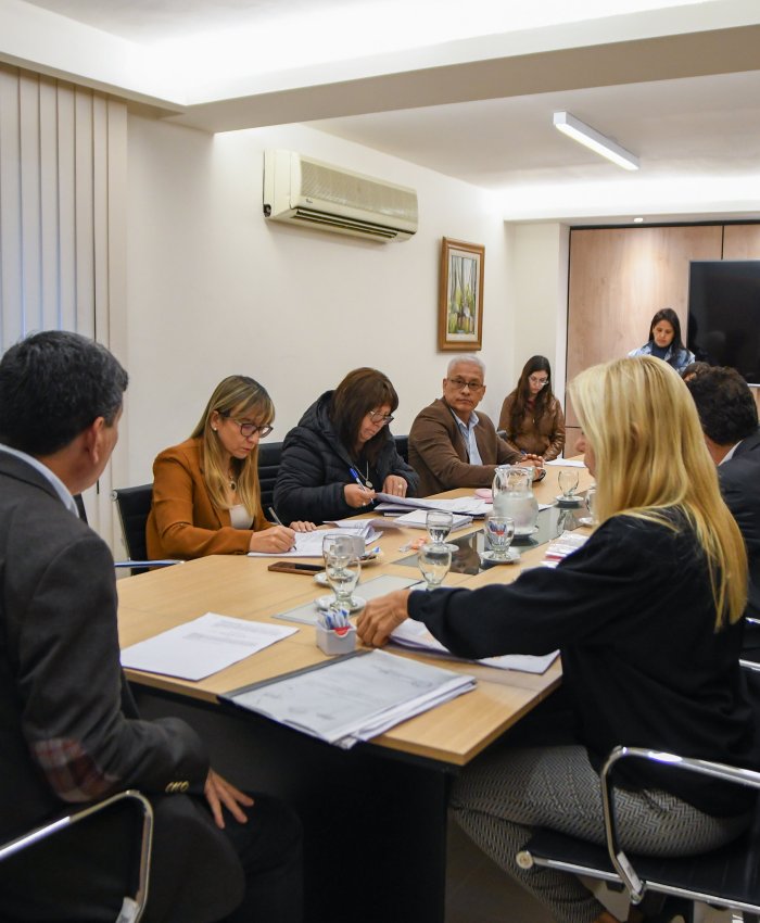 LEGISLATURA SAN JUAN: analizaron diversos proyectos en comisiones