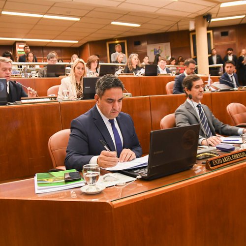 Aprobaron la implementación del Dispositivo del Área de Género en los diecinueve departamentos