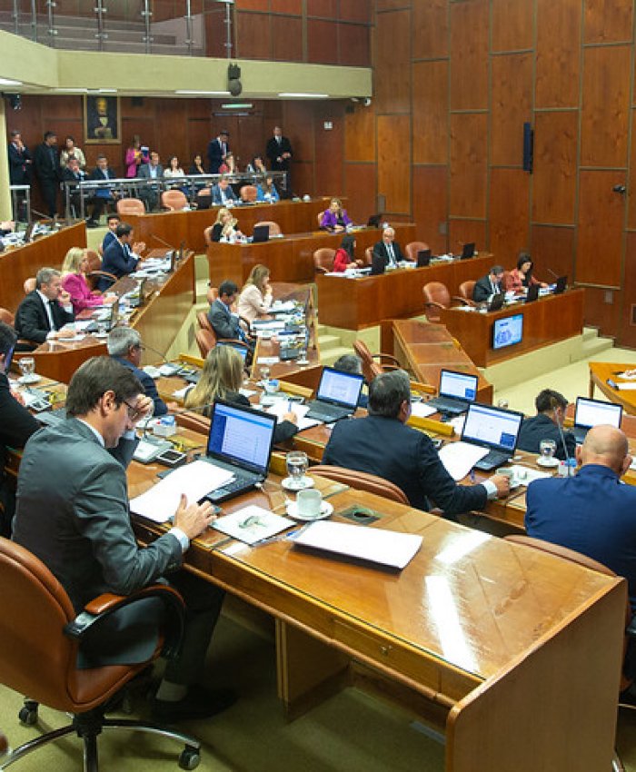 La Cámara de Diputados designó a la nueva Jueza de Primera Instancia del Fuero de Familia