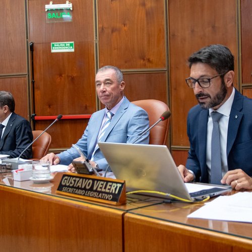 Seguí en vivo la reanudación de la Primera Sesión Ordinaria