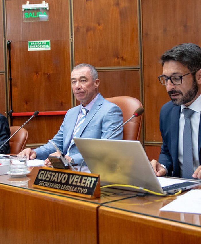 Seguí en vivo la reanudación de la Primera Sesión Ordinaria