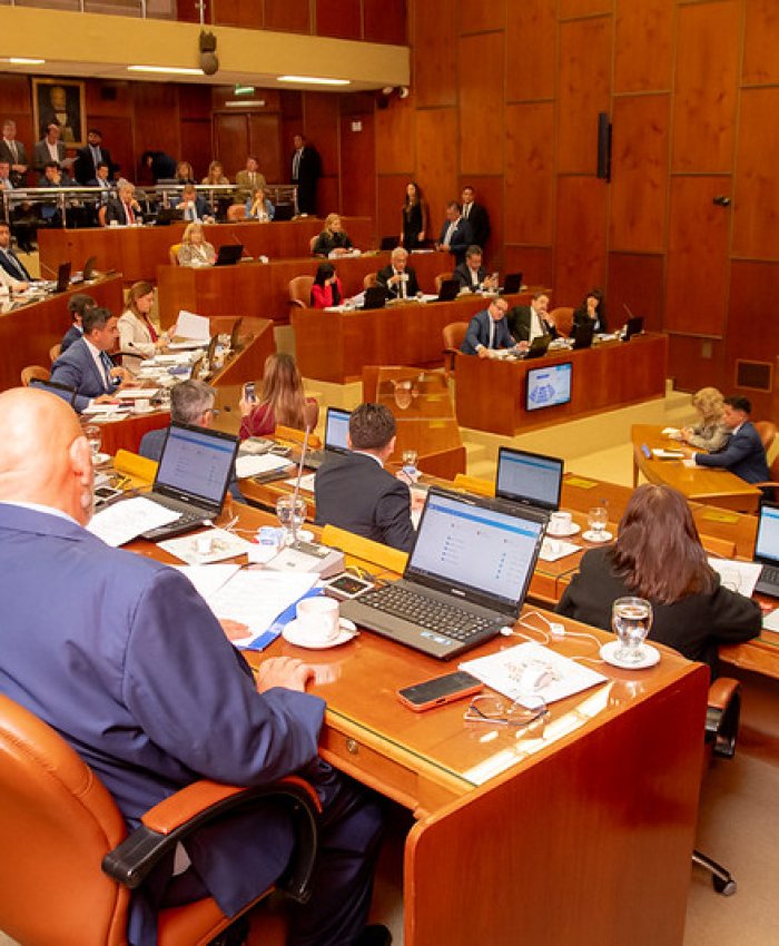 Cámara de Diputados de San Juan: seguí en vivo la Quinta Sesión Ordinaria