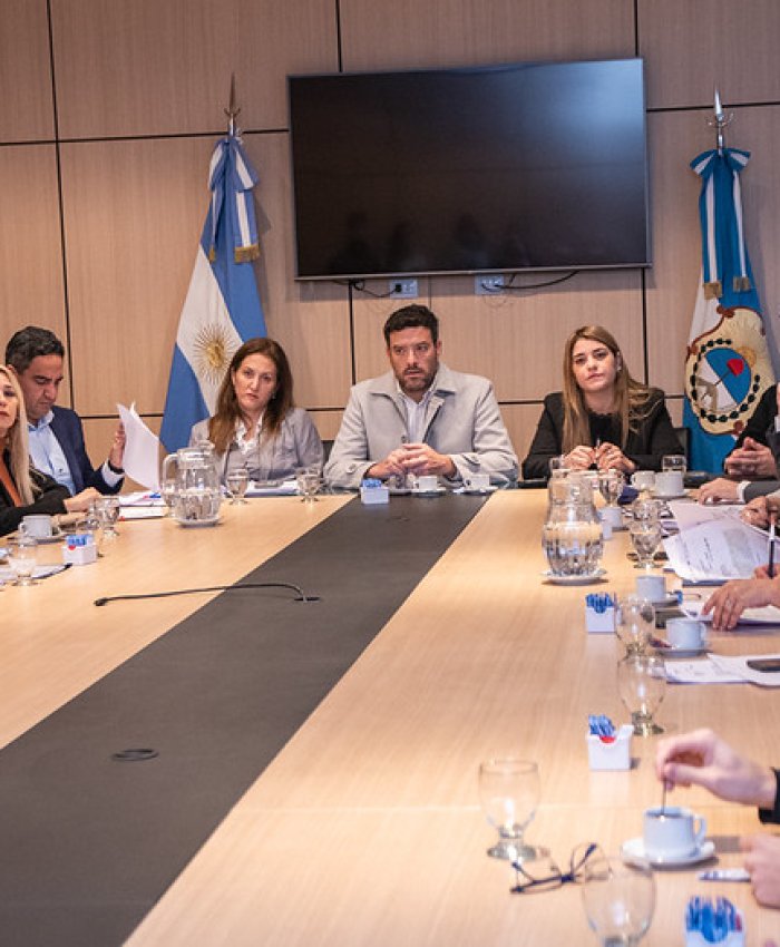 Diputados recibieron a funcionarios para analizar proyectos sobre niñez y consumos problemáticos