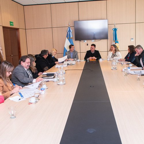 Cámara de Diputados de San Juan: comisiones abordaron proyectos estratégicos para la provincia