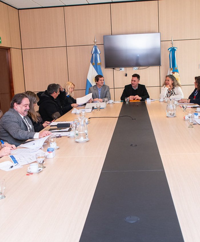 Cámara de Diputados de San Juan: comisiones abordaron proyectos estratégicos para la provincia