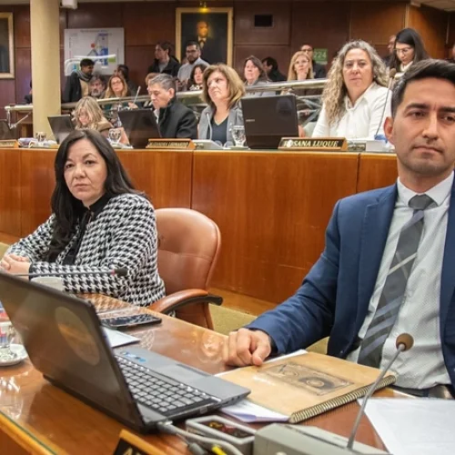 El oficialismo tiene votos para aprobar acuerdos con Vicuña y Nación