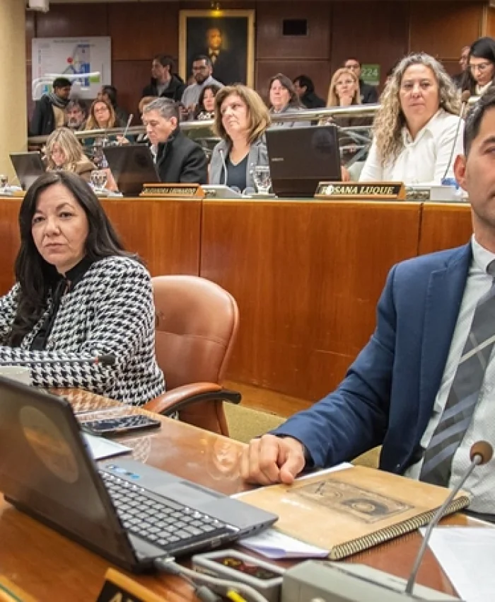 El oficialismo tiene votos para aprobar acuerdos con Vicuña y Nación