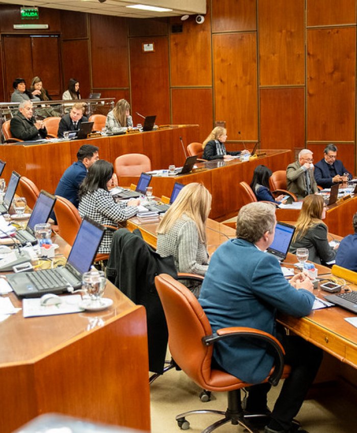  Cámara de Diputados: aprobaron la Ley de Desarrollo Local Minero