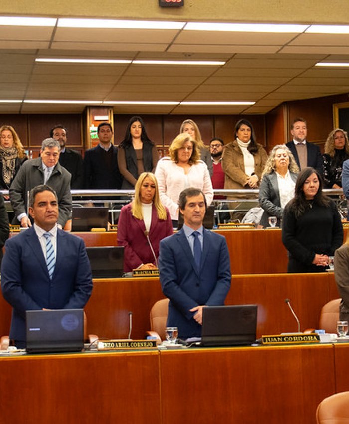 La Legislatura sancionó la Campaña Provincial de Concientización sobre Sífilis