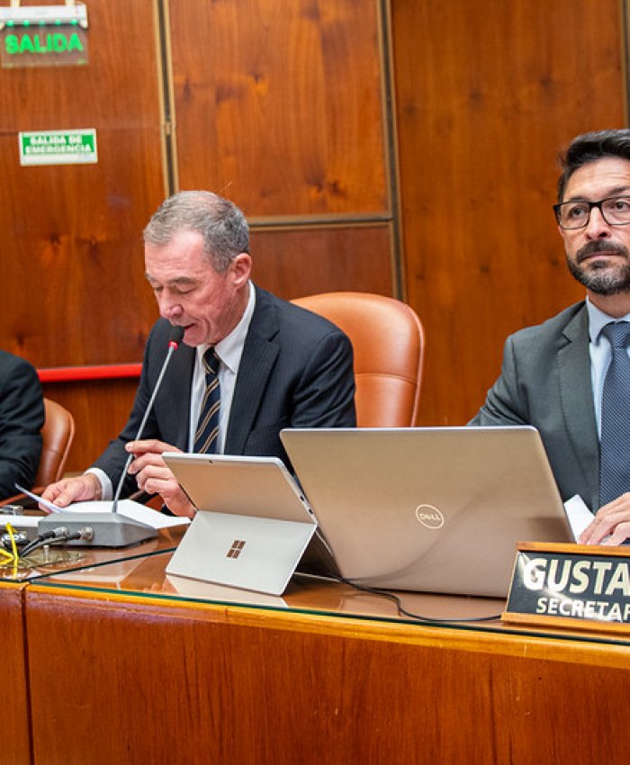 La Cámara de Diputados aprobó el Acta Compromiso con Vicuña