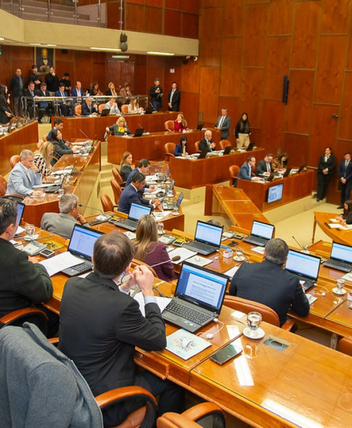Cámara de Diputados de San Juan: aprobaron la normativa transitoria para el proceso penal juvenil