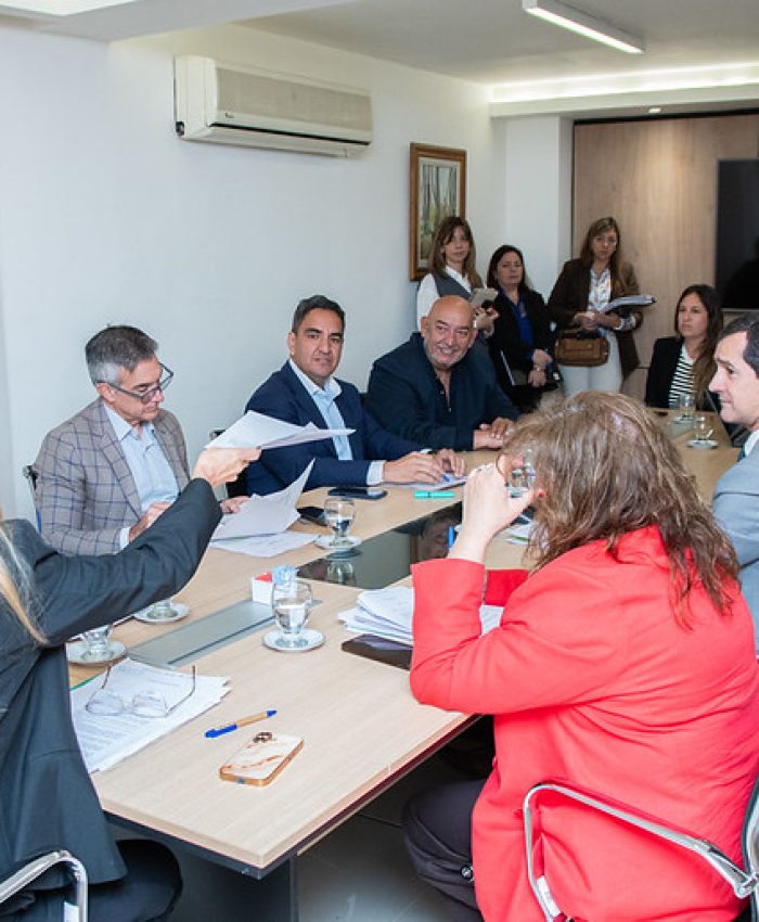 Comisiones de la Cámara de Diputados avanzan en el análisis de diversos proyectos
