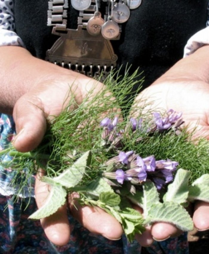 El Senasa y comunidades mapuches buscan un protocolo para el paso fronterizo de medicinas ancestrales
