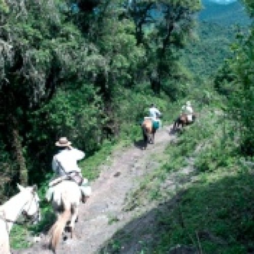 Jujuy: El gobierno demandó a petroleras por «daño ambiental colectivo»