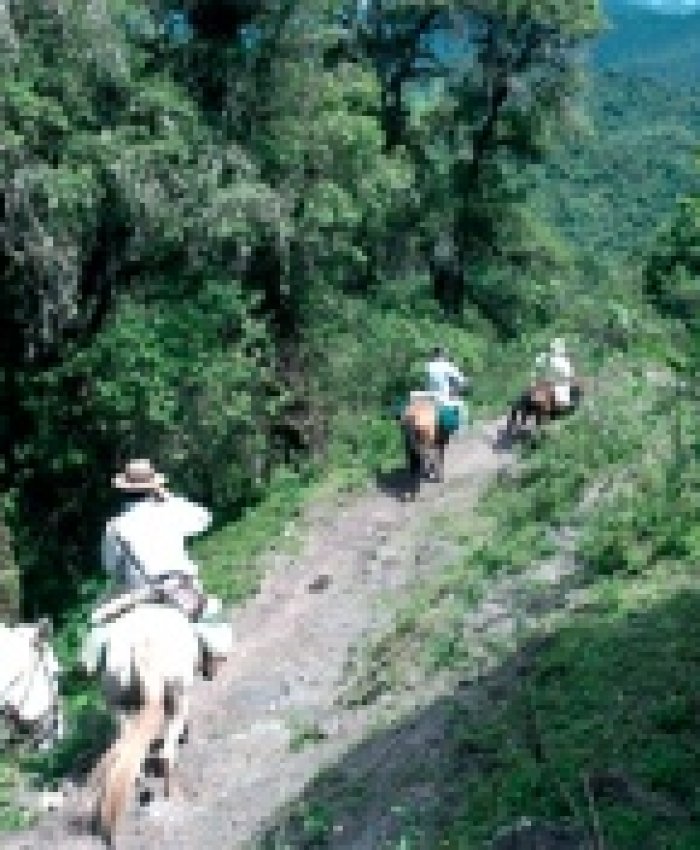 Jujuy: El gobierno demandó a petroleras por «daño ambiental colectivo»