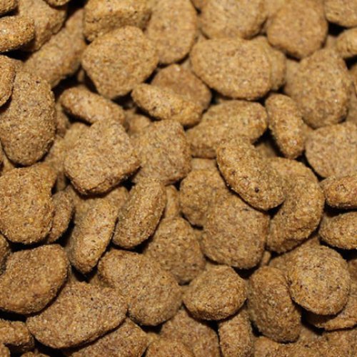 El Gobierno de São Paulo alimentará a estudiantes con «comida para perros»