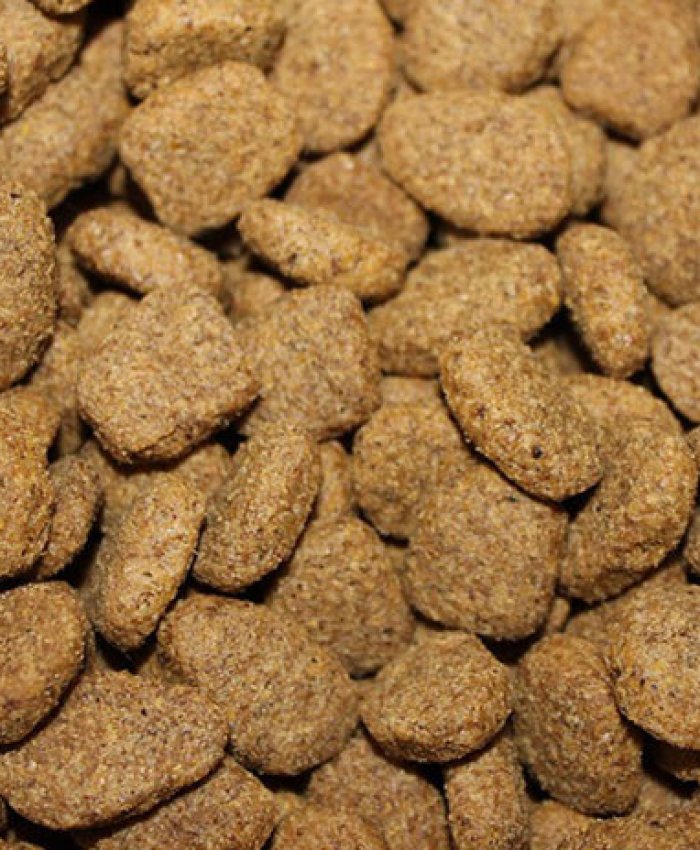 El Gobierno de São Paulo alimentará a estudiantes con «comida para perros»