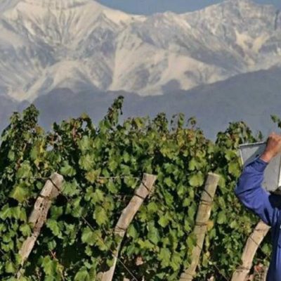 El Gobierno provincial adelantó los créditos de cosecha y acarreo y ya hay solicitudes aprobadas