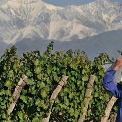 El Gobierno provincial adelantó los créditos de cosecha y acarreo y ya hay solicitudes aprobadas