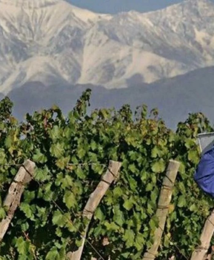 El Gobierno provincial adelantó los créditos de cosecha y acarreo y ya hay solicitudes aprobadas