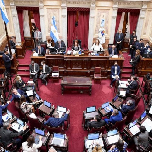 El Senado dio media sanción a la creación de un fondo para pagarle al FMI con dinero fugado al exterior